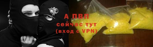 apvp Белокуриха